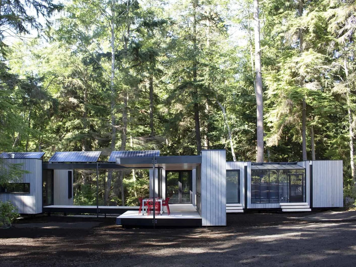 Madrona